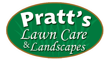 Landscaping and Lawn Care Website Design